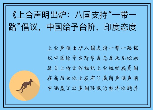 《上合声明出炉：八国支持“一带一路”倡议，中国给予台阶，印度态度未见松动》