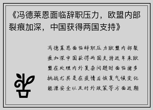 《冯德莱恩面临辞职压力，欧盟内部裂痕加深，中国获得两国支持》