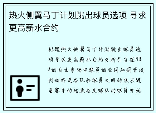 热火侧翼马丁计划跳出球员选项 寻求更高薪水合约