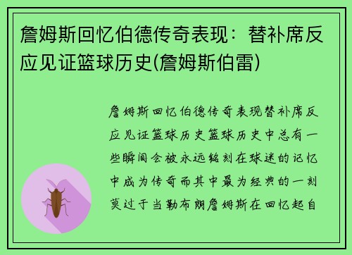 詹姆斯回忆伯德传奇表现：替补席反应见证篮球历史(詹姆斯伯雷)